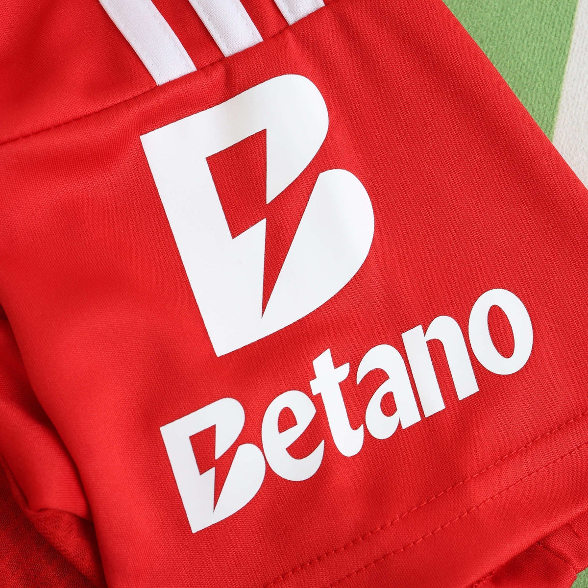 Benfica Home Jersey 2024/25 - photo 7