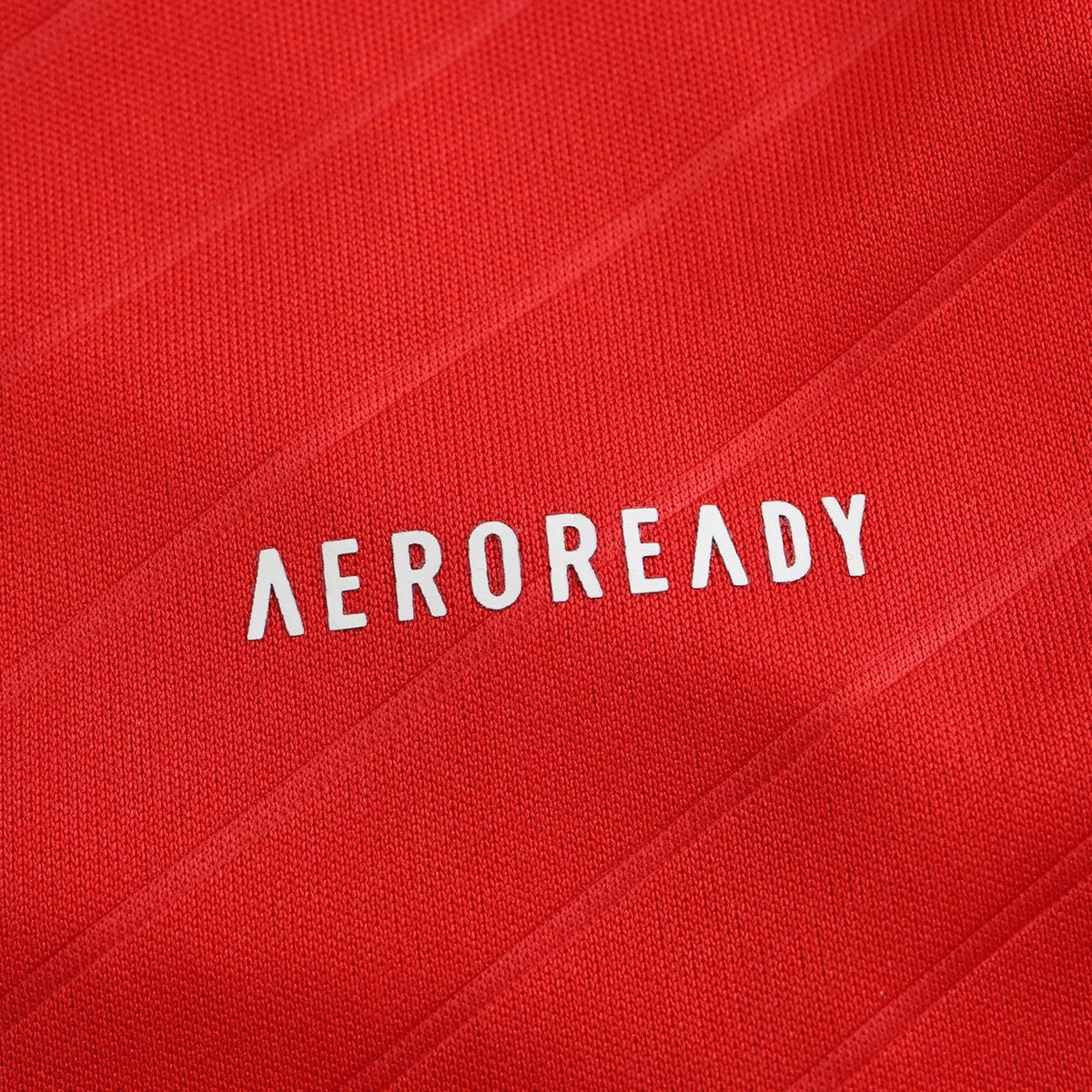 Benfica Home Jersey 2024/25 - photo 8