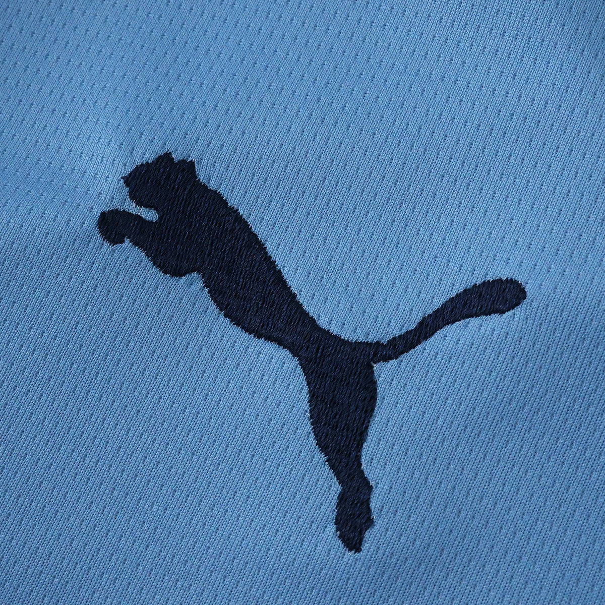 Manchester City Home Jersey 2025/26 - photo 3