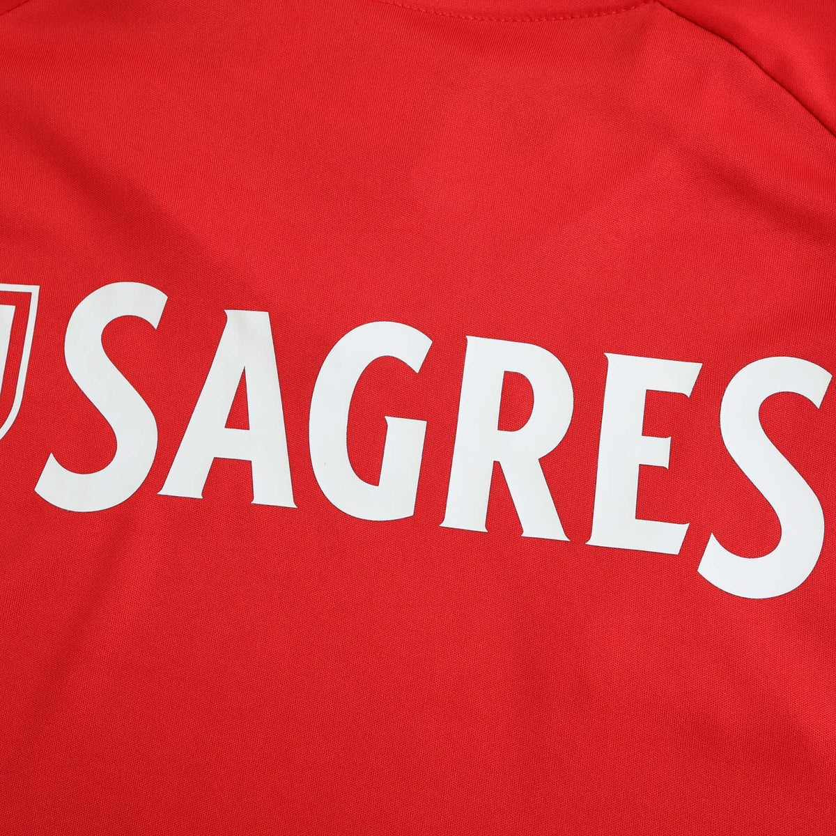 Benfica Home Jersey 2024/25 - photo 6