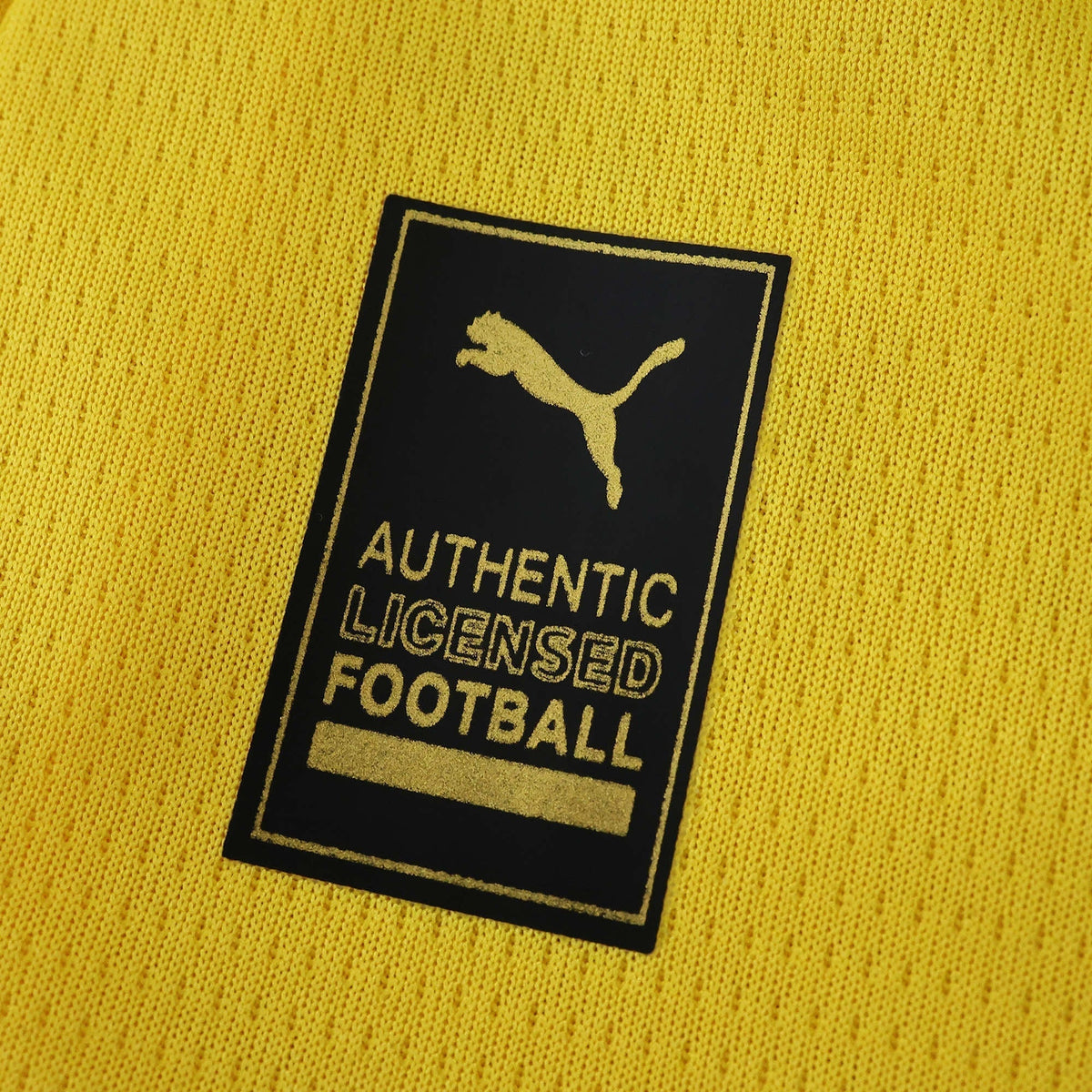 Borussia Dortmund Home Jersey 2025/26 - photo 5