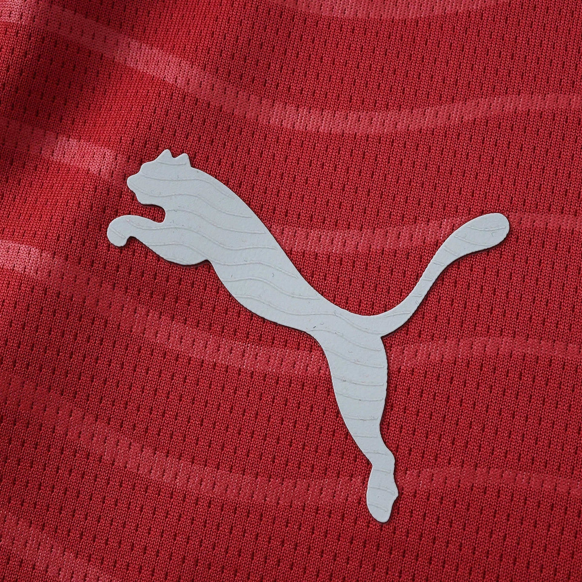 Portugal Home Jersey 2026/27 - photo 4